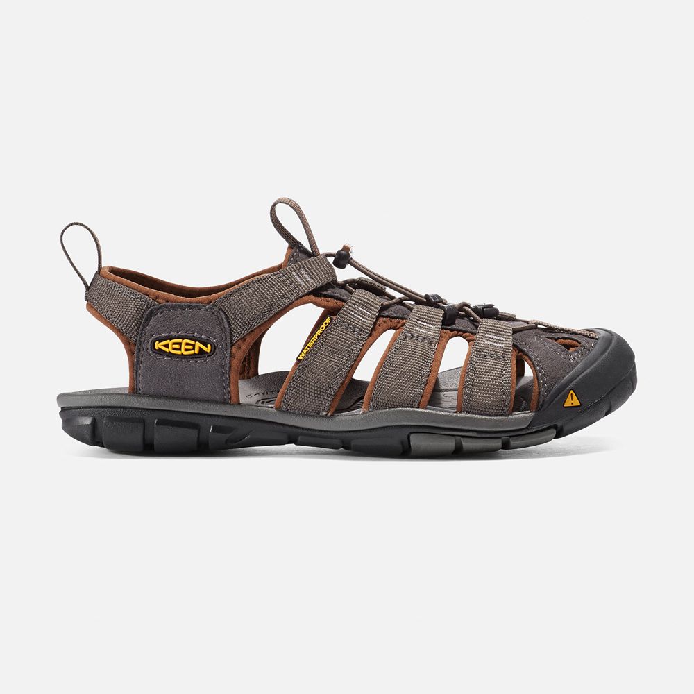 Sandales de Randonnée Keen Homme Marron | Clearwater Cnx | TZNPH-6850